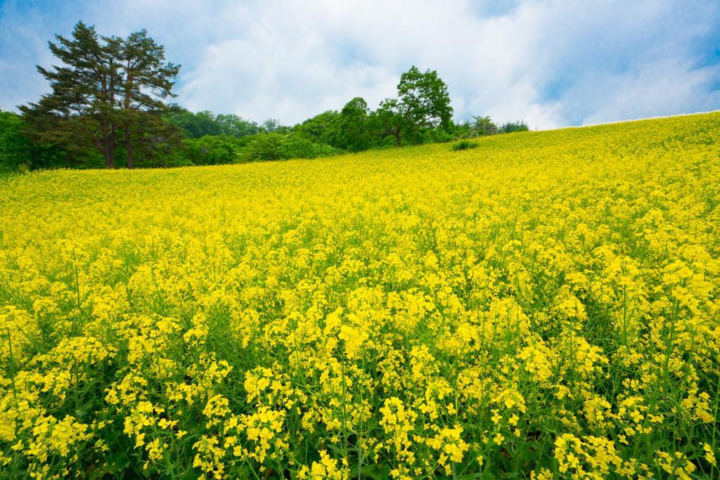 아츠시오온센 야마가타야 Kitakata 외부 사진